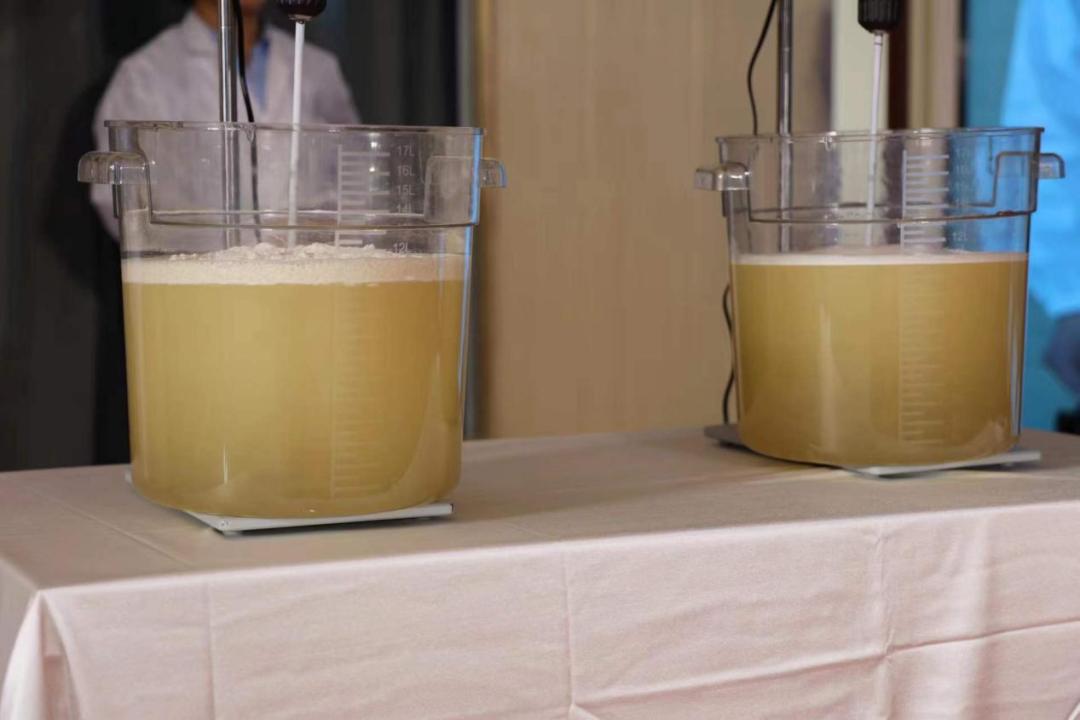 圣雪大成硫酸粘菌素,圣雪大成产品