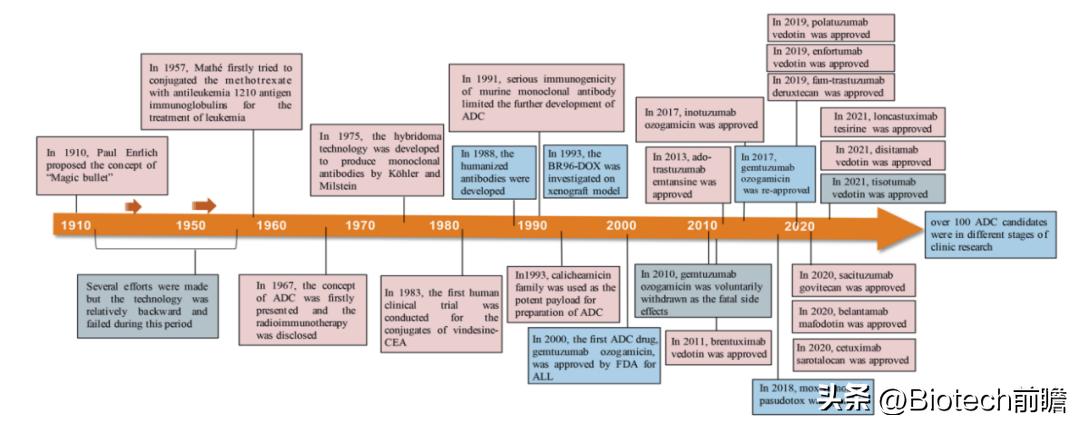 CLDN18.2ADC丨康诺亚与阿斯利康11.88亿美元BD