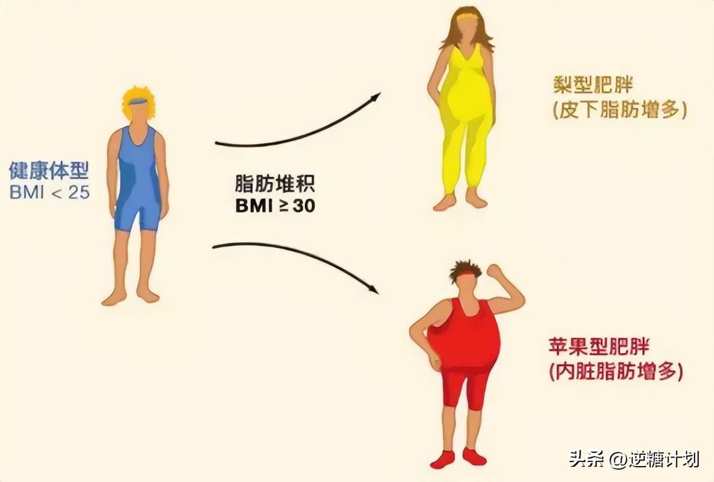 胰岛素水平高怎么办,胰岛素高怎么解决