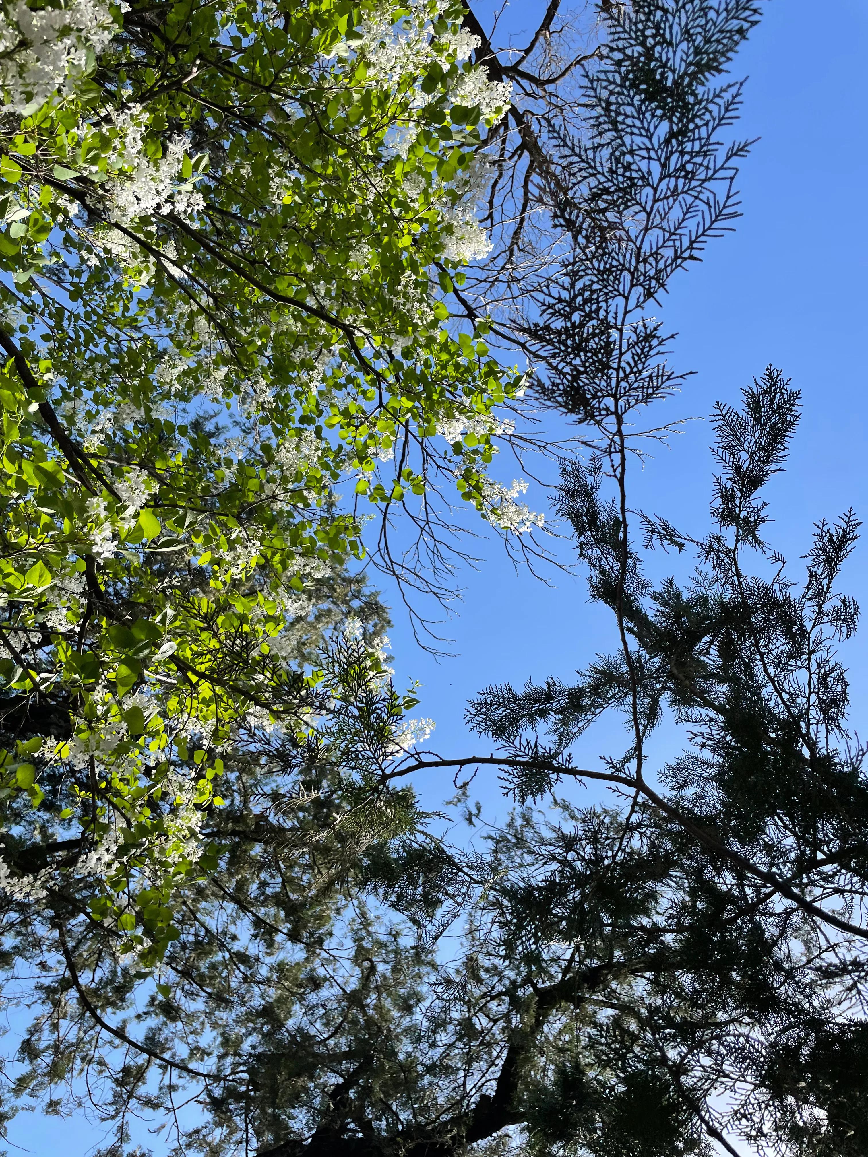 京城一日游方案,京城一日游推荐之潭柘寺