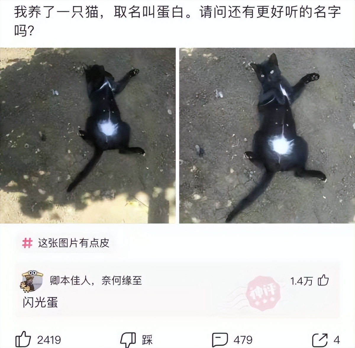 “这真的是林志玲吗？我怎么看着越来越像日本贵妇了？”哈哈哈