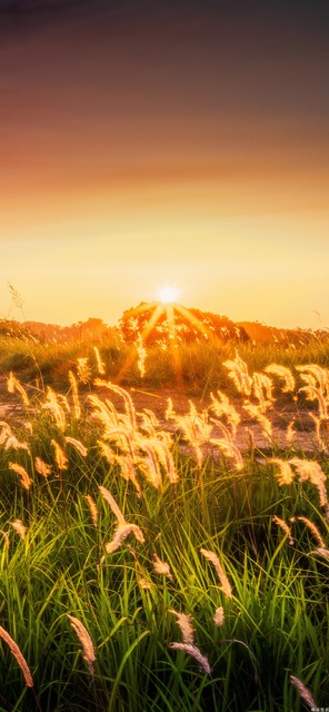 鑻规灉鍞編涓撶敤澹佺焊鍏ㄥ睆,鍜栧暋鍞編鎰忓澹佺焊鍏ㄥ睆