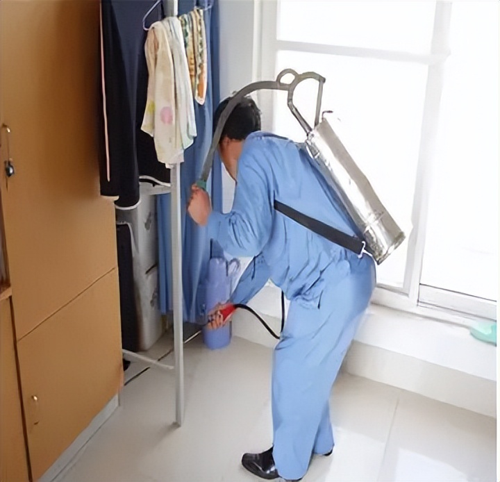 怎样才能彻底杀死蟑螂小强,怎么消灭小强蟑螂最有效