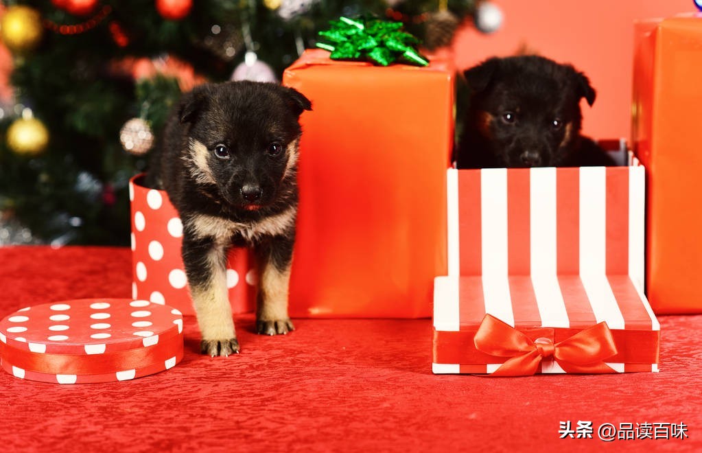 如何送礼小窍门,如何成为送礼达人