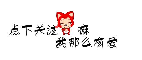 狗狗就是因为压力过大而出现问题,狗狗晚上像狼一样嚎叫是怎么回事