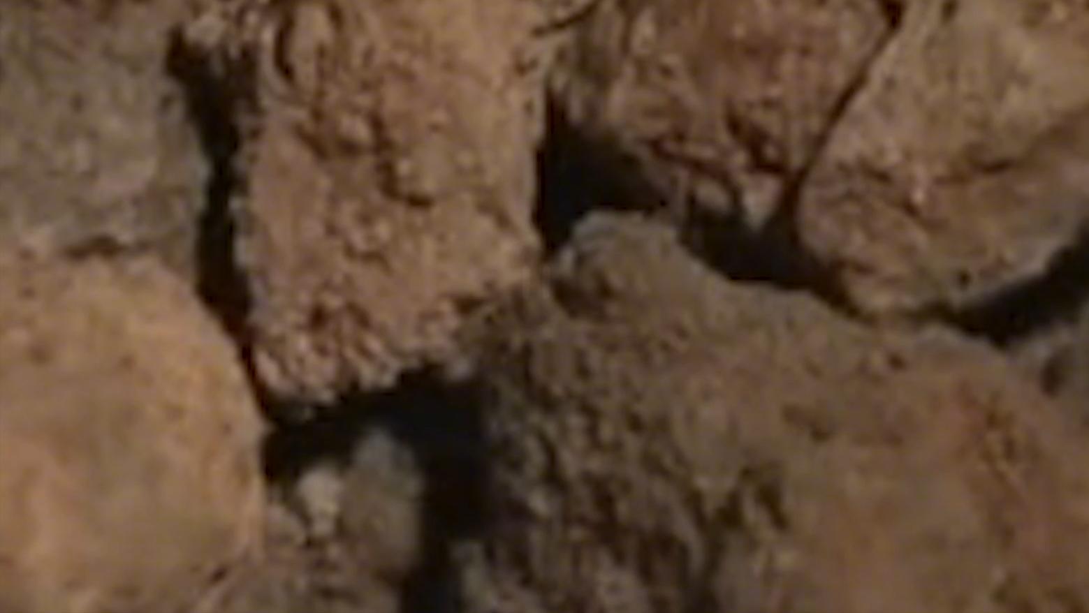 六旬老人晕倒医生急救援,八旬医生抢救老人