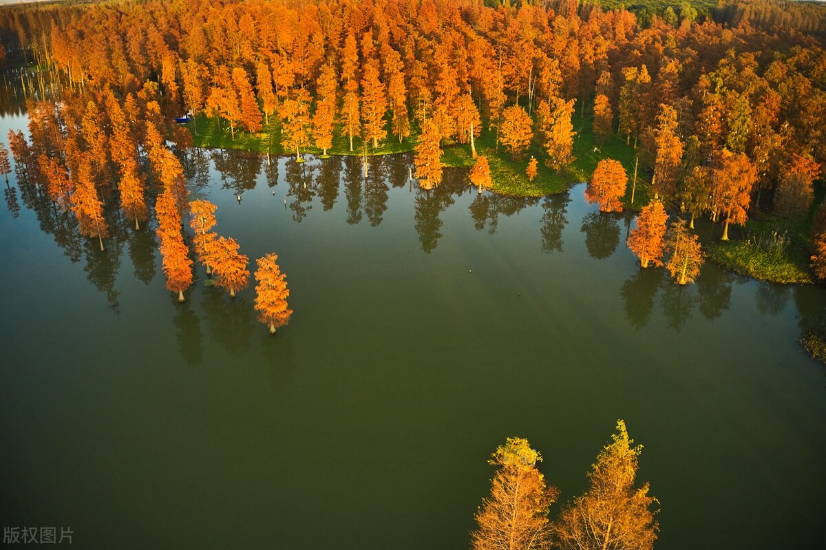 上海最新免费游玩景点推荐,上海旅游必去的五个免费景点