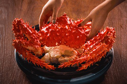 什么淡水蟹又大又好吃,厚礼蟹是螃蟹吗