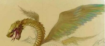 中国四大神兽是哪几个神兽,中国古代四大神兽各有什么能力