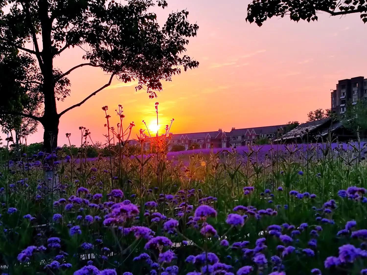 90后女孩放弃高薪回乡创业,90后姑娘创业月入八万