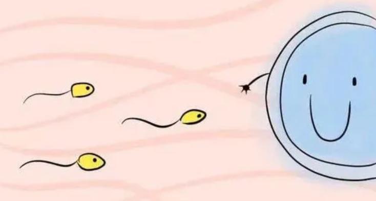 男性结扎了对男性有没有影响,男生做结扎对男性有影响么