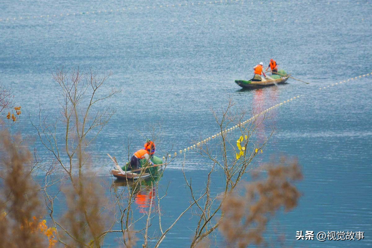 为什么近些年农村挖鱼塘养鱼的多,为什么水库养鱼比较多