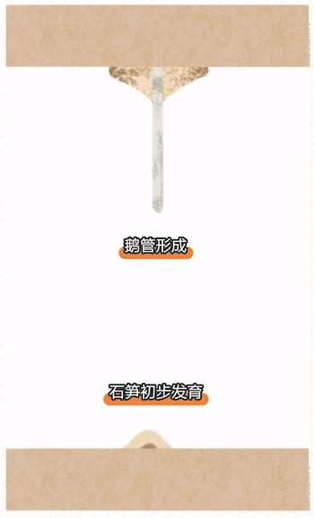 石钟乳和石笋颜色区别,石钟乳和石笋的区别