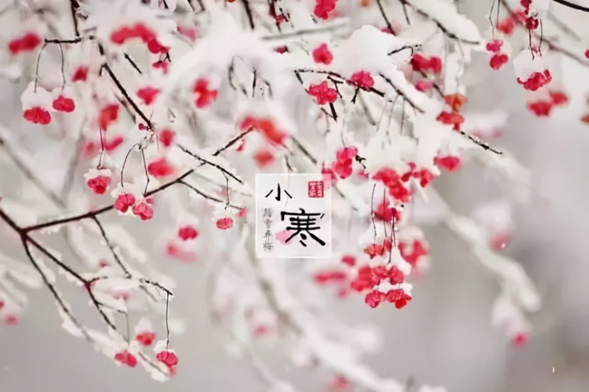 经典大寒小寒问候祝福语,小寒节气短信暖心祝福语