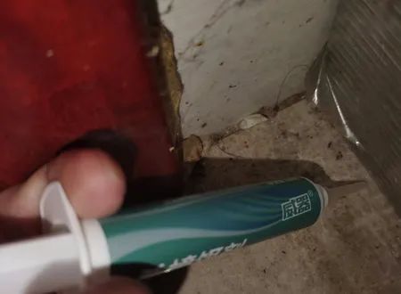 怎么杀蟑螂最简单最有效的方法,怎么杀蟑螂最有效方法