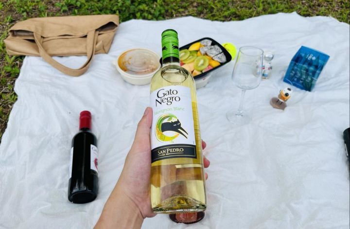 前段时间开始喜欢喝葡萄酒,买了这款黑猫葡萄酒体验一下