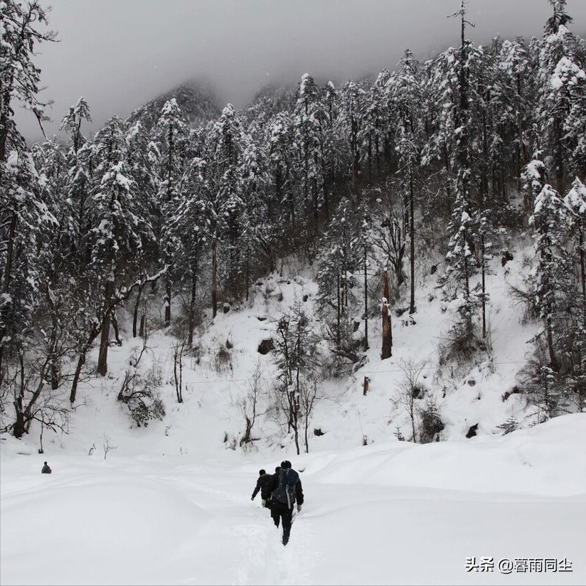 荒野生存十大绝望手段,荒野求生不是一件轻松的事情