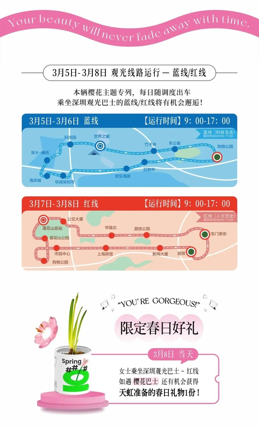 深圳五一免费景点攻略,深圳周边三八节免费景点