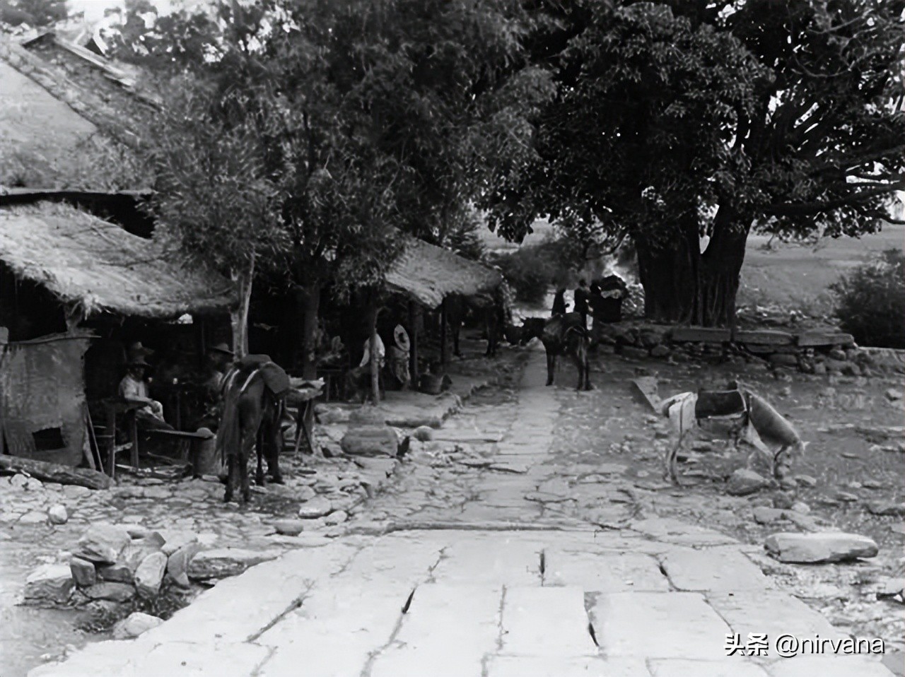 彝族娃子寨,娃子寨