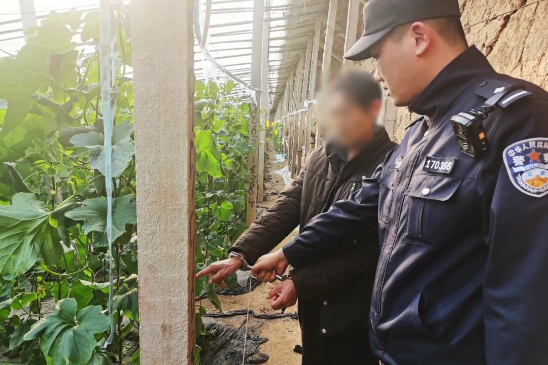 一线警事斩黑手,一线警讯盗窃案