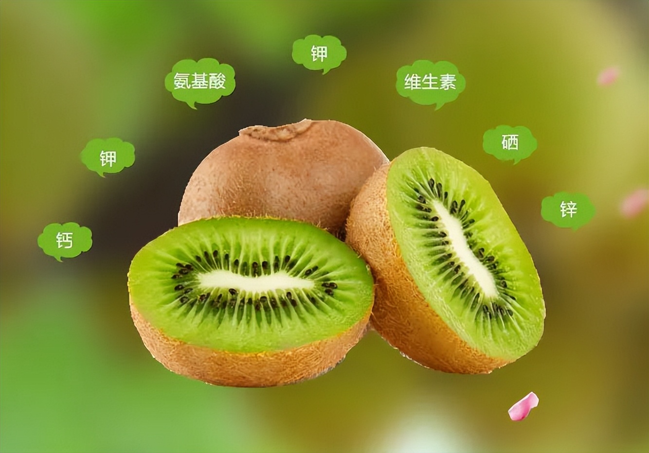 猕猴桃是什么季节水果,软枣猕猴桃是什么水果