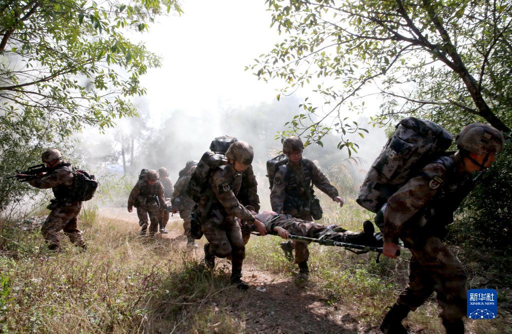 为实现中华民族伟大复兴提供战略支撑——在习*平近**强军思想指引下新时代国防和*队军**建设成就综述