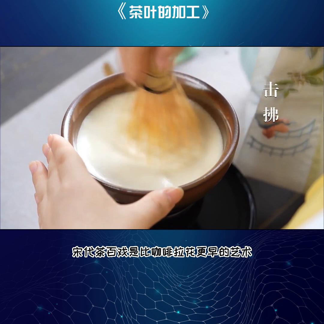 茶叶揉捻工序,茶叶加工的揉捻工艺有哪些