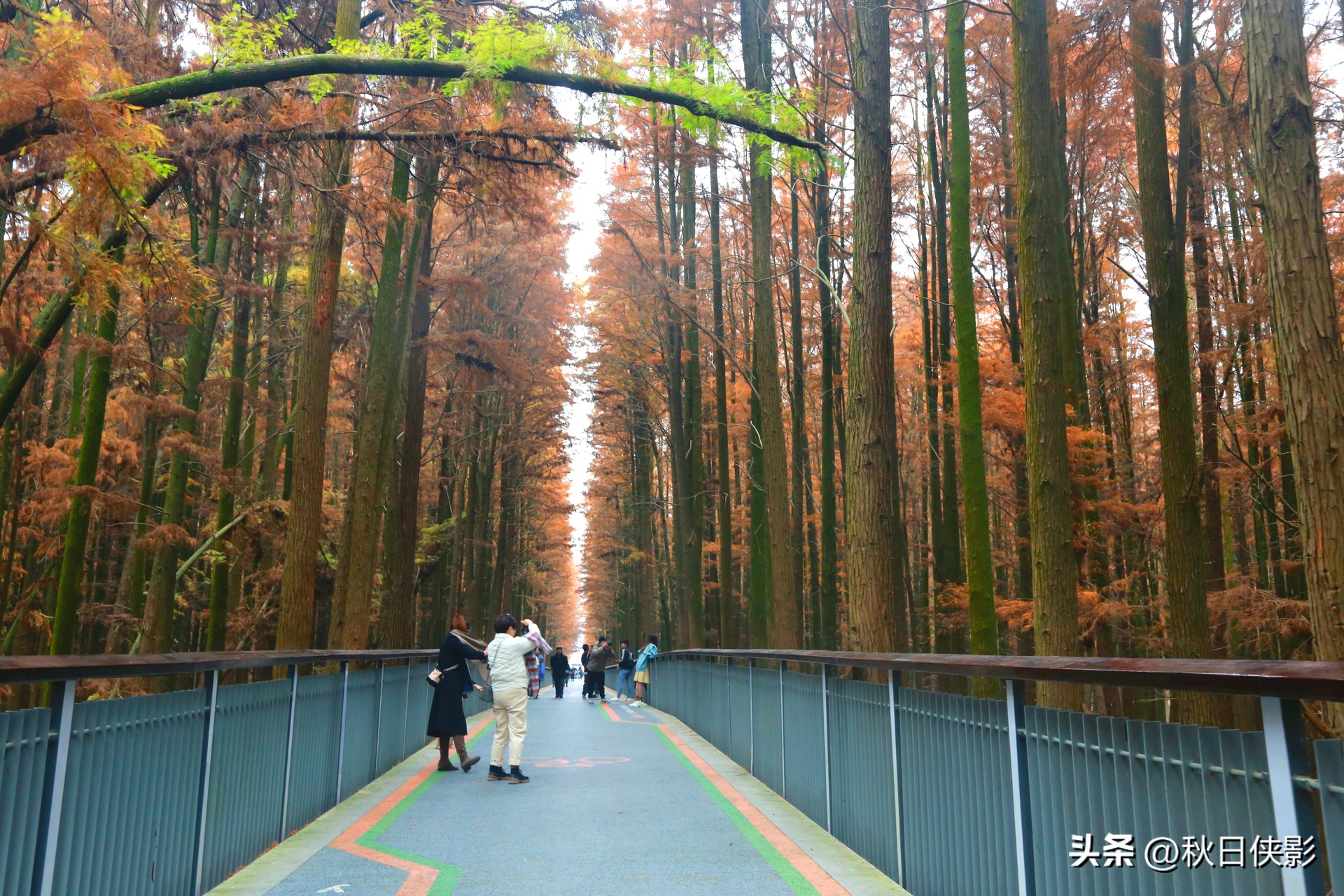 杭州周边秋日赏景好去处,杭州周边当季旅游景点推荐