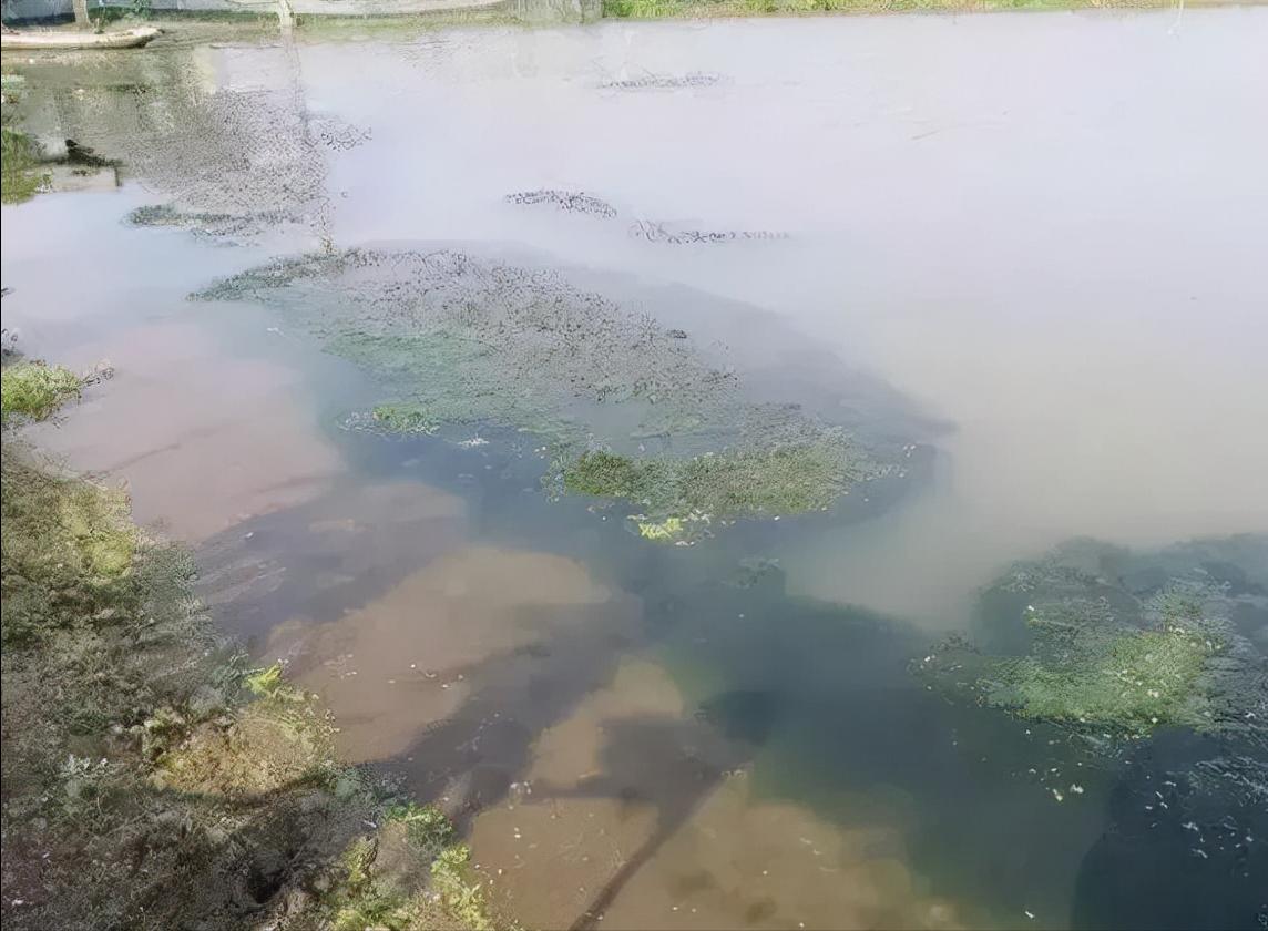 水泥池塘的甲鱼如何越冬,甲鱼越冬的贮存方法