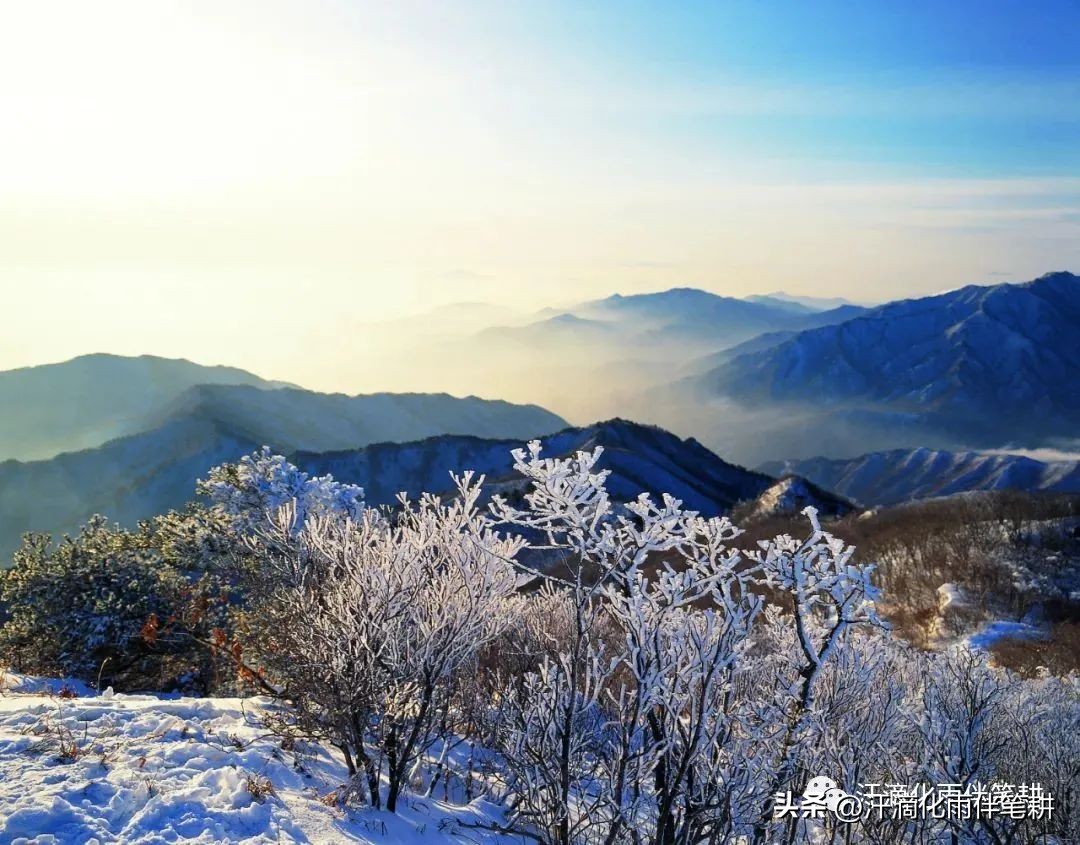 「山西榆次薛有毅」原创//​七律·入冬天相