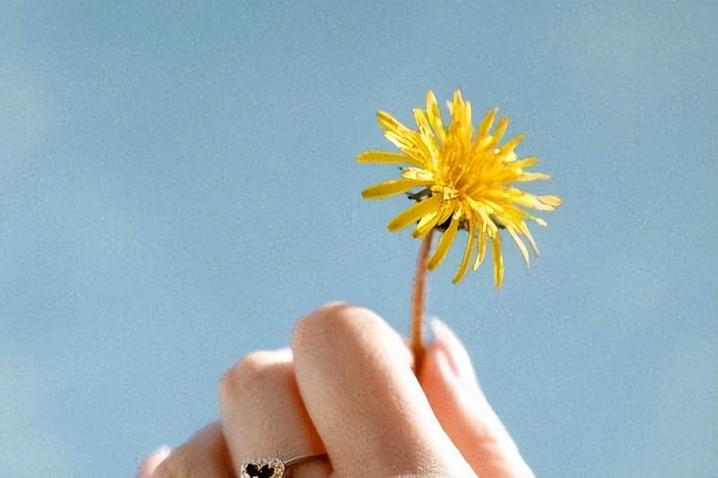 性格太软容易妥协,性格软弱讨好型人格职场