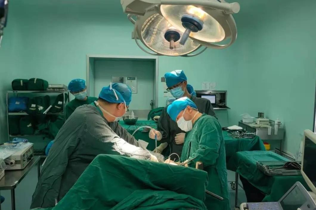 卫生间小飞虫的危害程度超乎你的想象,它究竟是啥?该如何消灭?