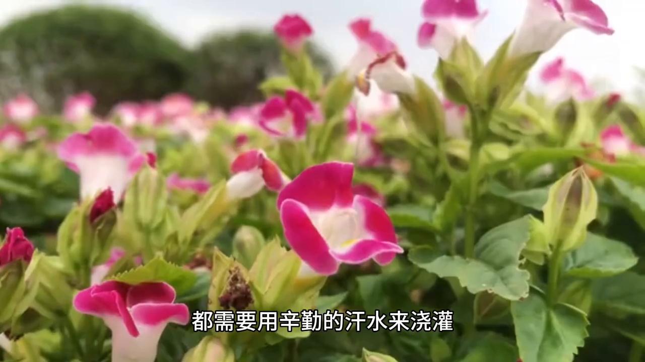 伟业建设,人生伟业的建立不是能知而是能行