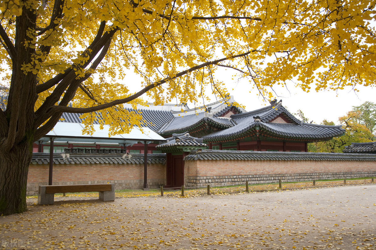 江南行作者张德富