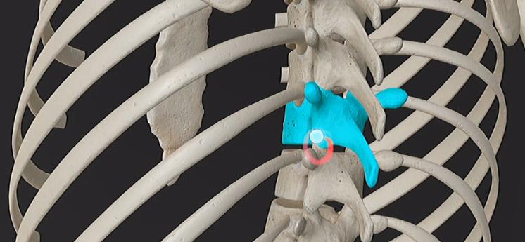 外科医用手术电钻,电外科手术器械有哪些