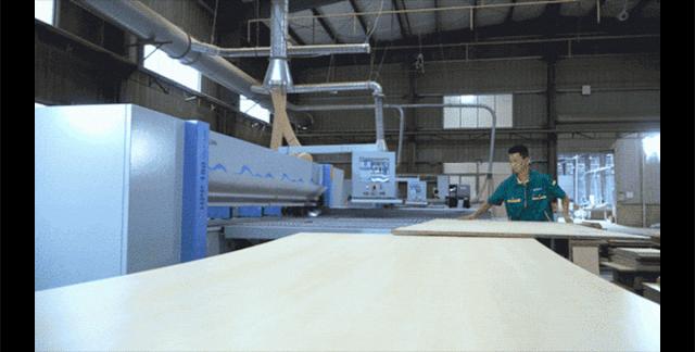 实力引领匠心智造|2023嘉宝全屋定制节德系精工超值钜献