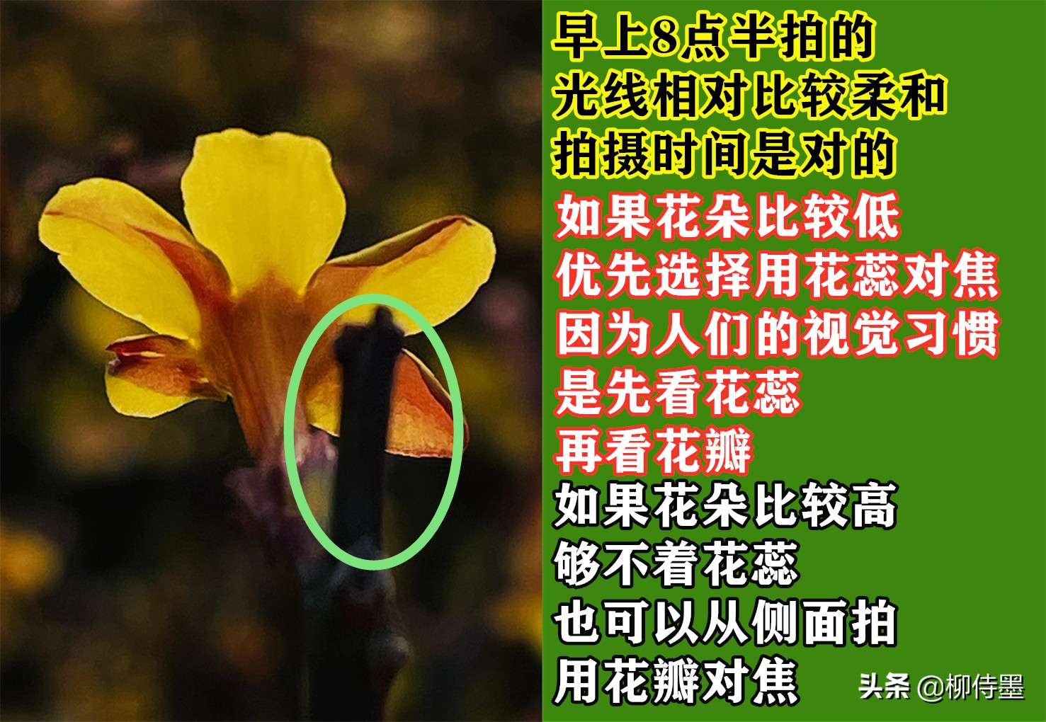 手机摄影照片细节拍摄技巧,手机摄影拍照的五大误区