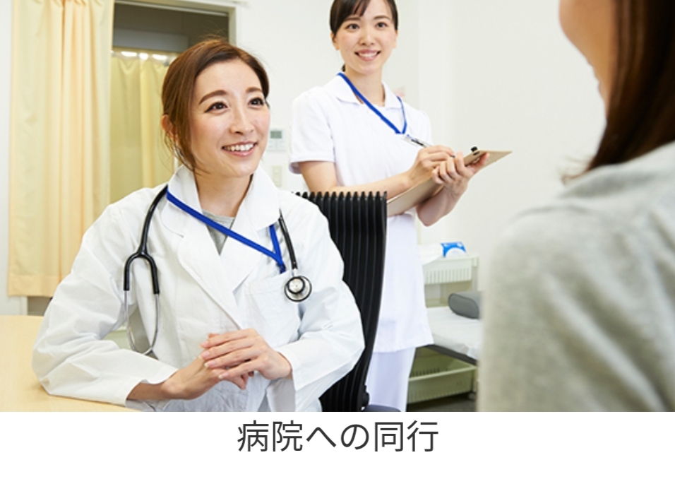 日本福祉类专门学校,日本国学院设置