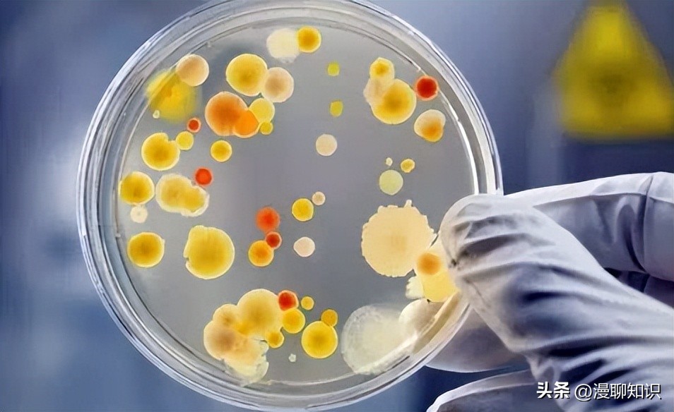 细菌是种类最广泛的畜禽微生物，如何将病毒与之分离