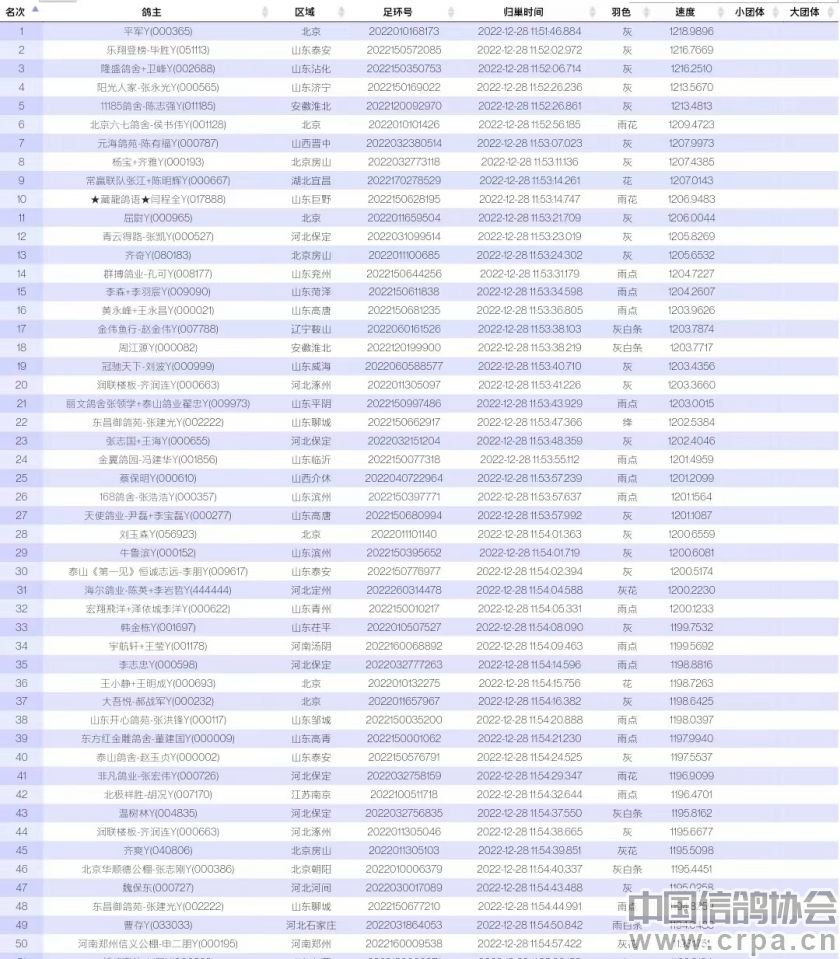 今年鸽子比赛归巢率,泰山国际赛鸽公棚500公里归巢数据