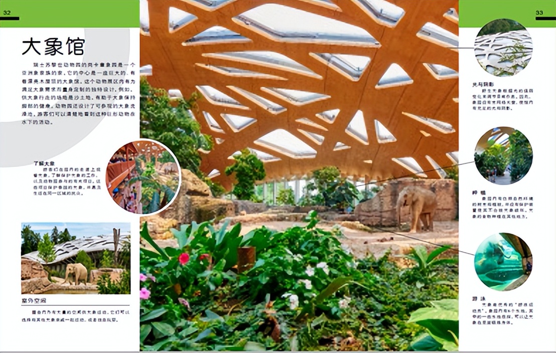 dk动物园全套,dk揭秘动物王国的奥秘