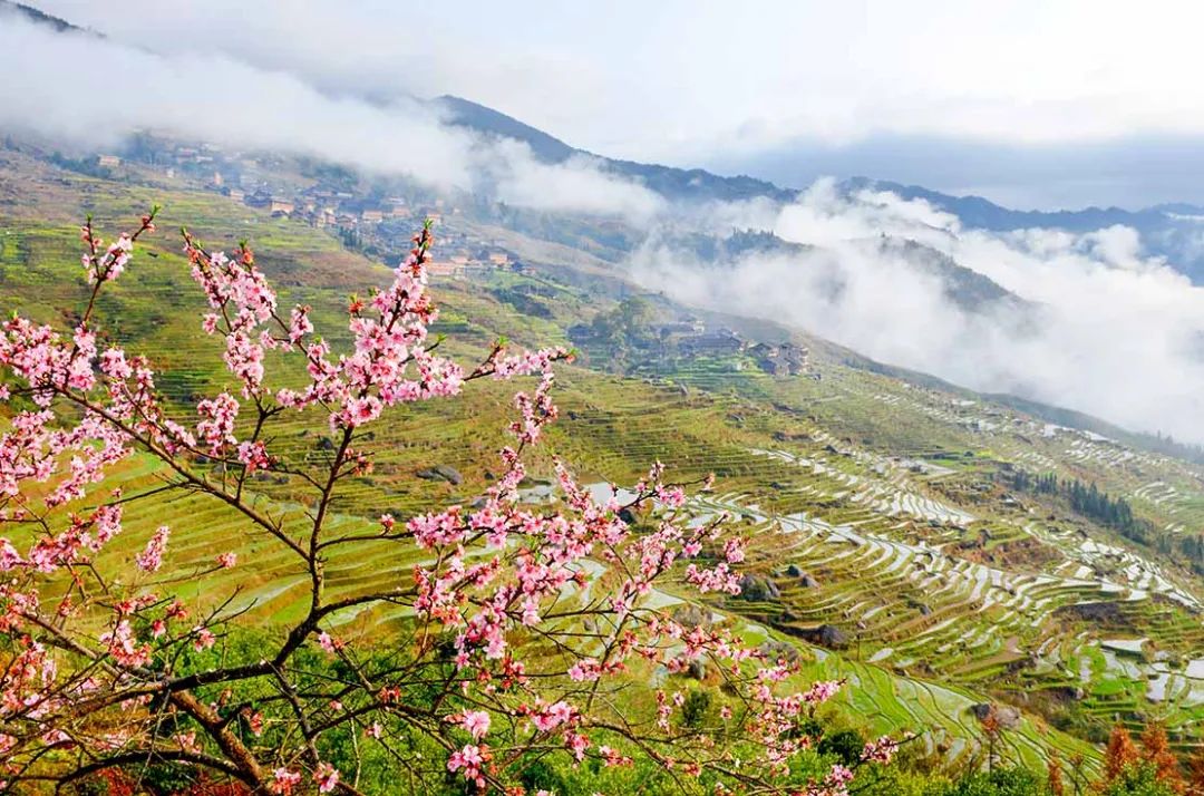 5月底桂林梯田摄影,桂林阳朔山水风光摄影团攻略