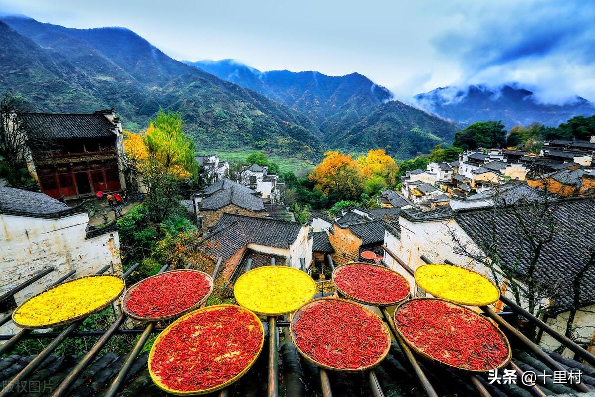 一个人做三农短视频怎么赚钱,三农短视频还有前景吗