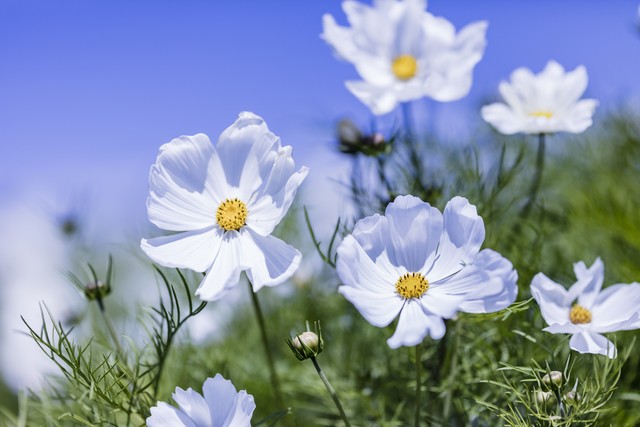 摔了之后肉疼,摔了之后的淤青