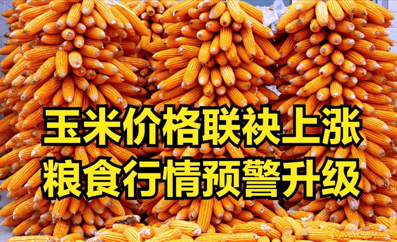 中国宣布取消美国订单了吗,中国取消美国订单真的吗