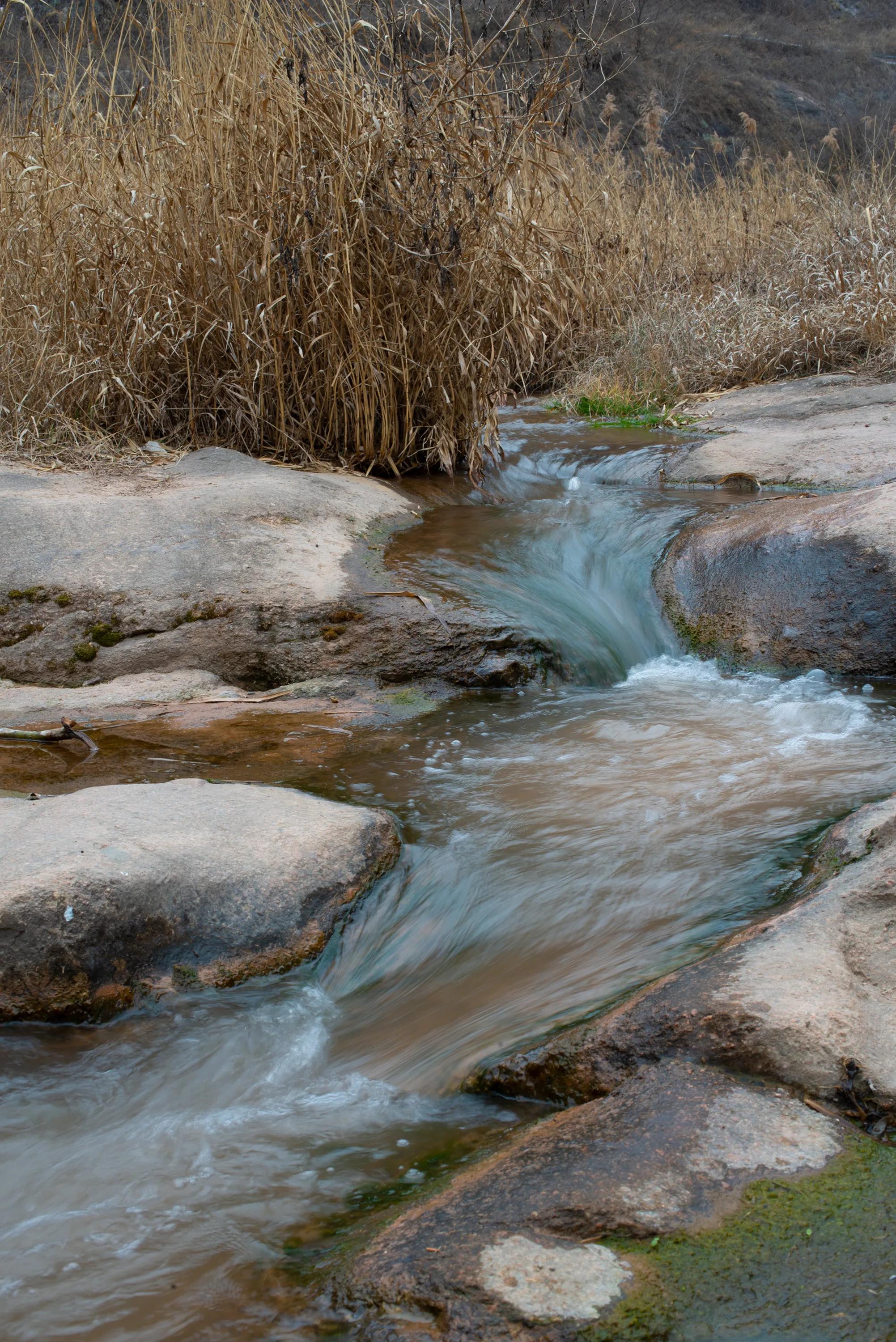 尼康调出油润感,尼康油润点的镜头