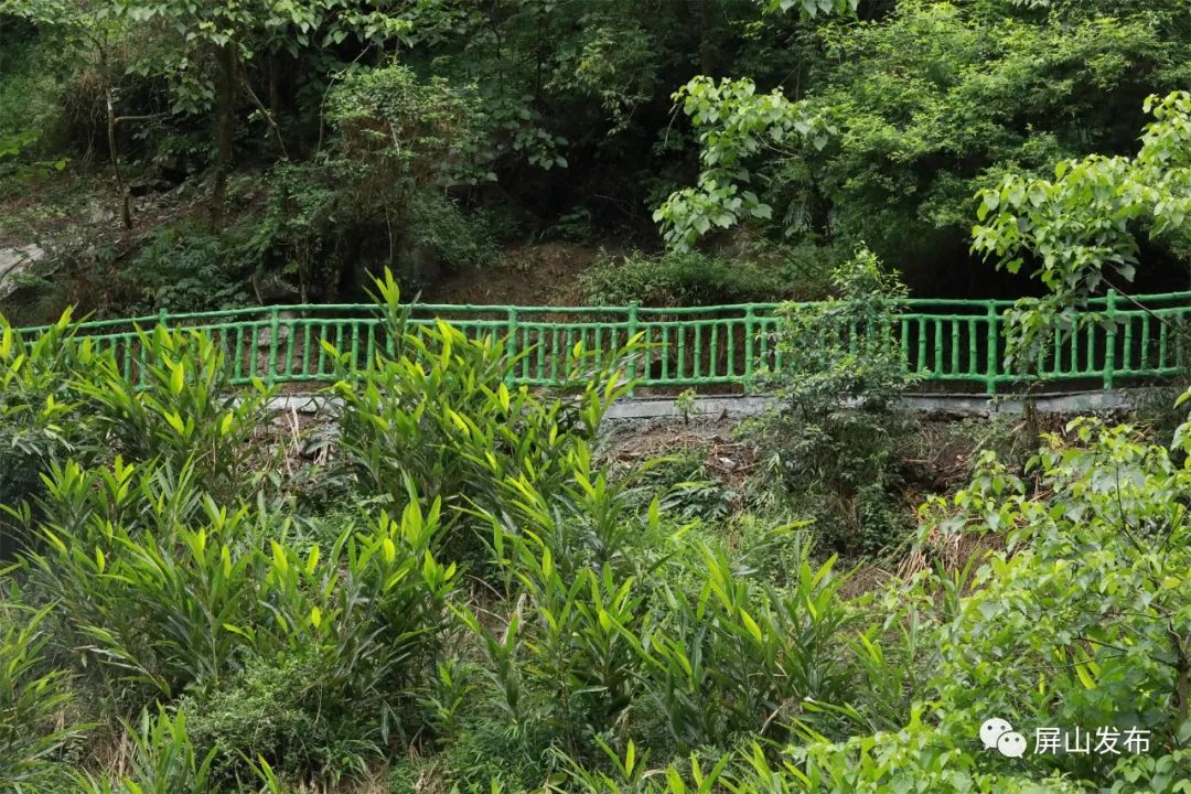 记者带你看民宿,记者带您云游老君山