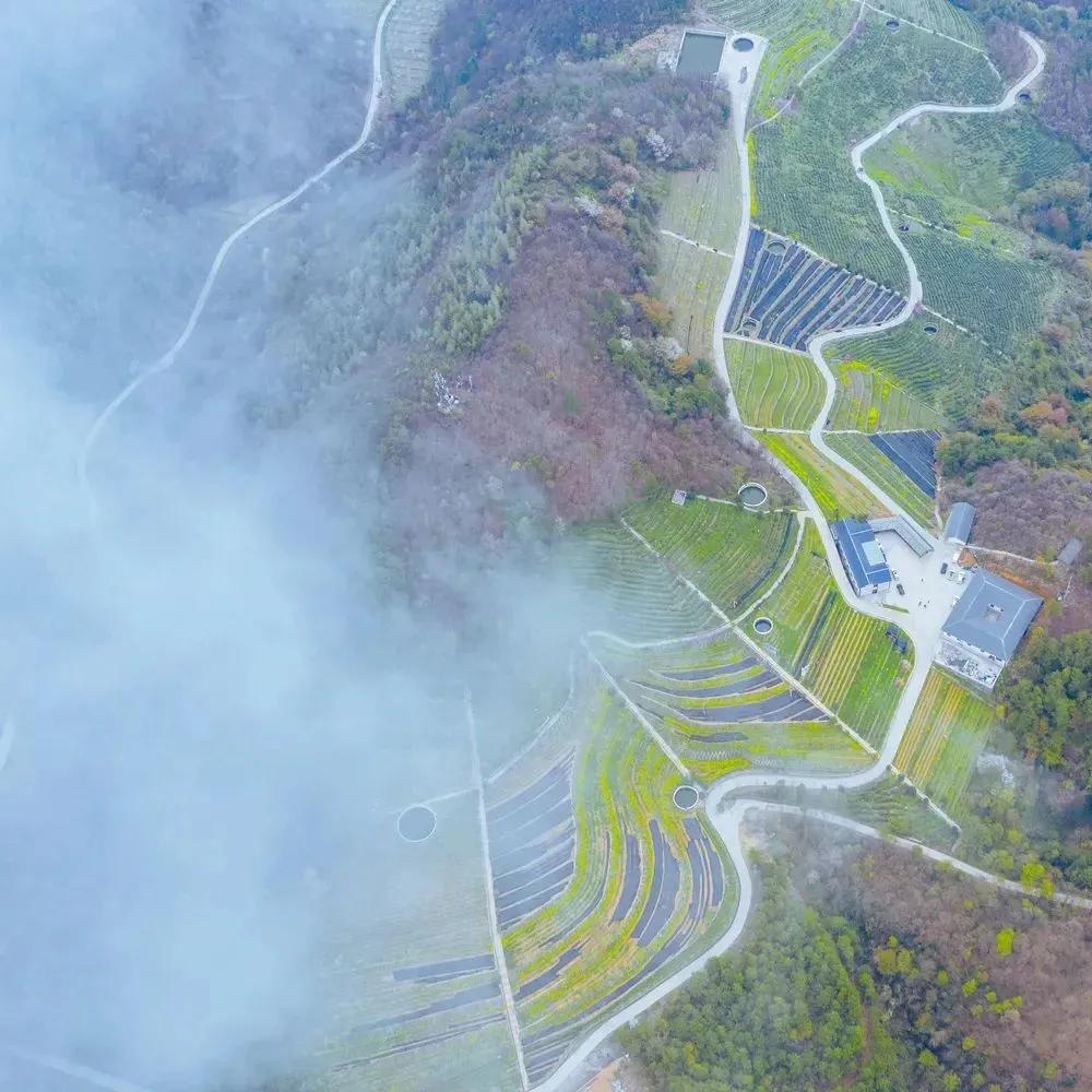 广元秦巴秘境,广元适合探险的神秘地方