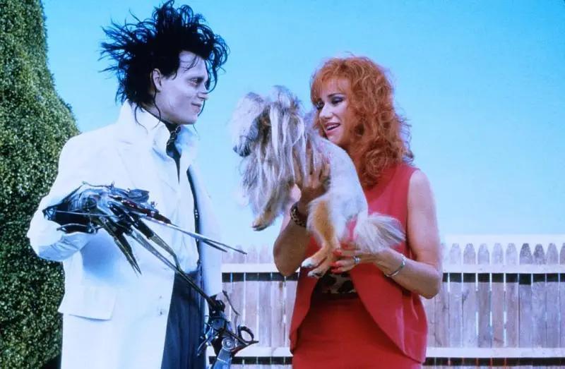 剪刀手爱德华色彩审美分析,剪刀手爱德华警察为什么要放走他