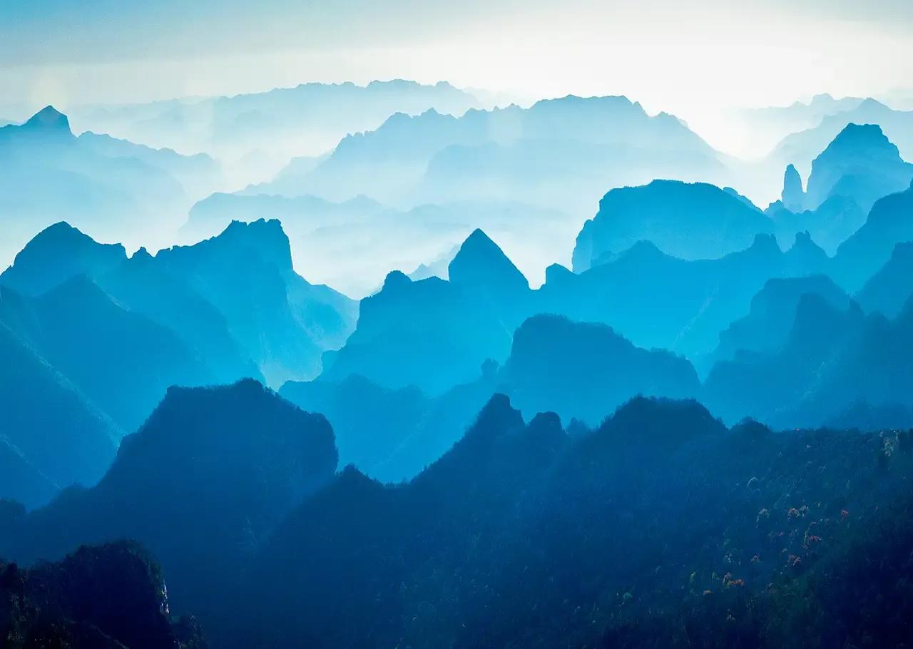 莫言透明的红萝卜的故事,莫言透明的红萝卜全文免费阅读